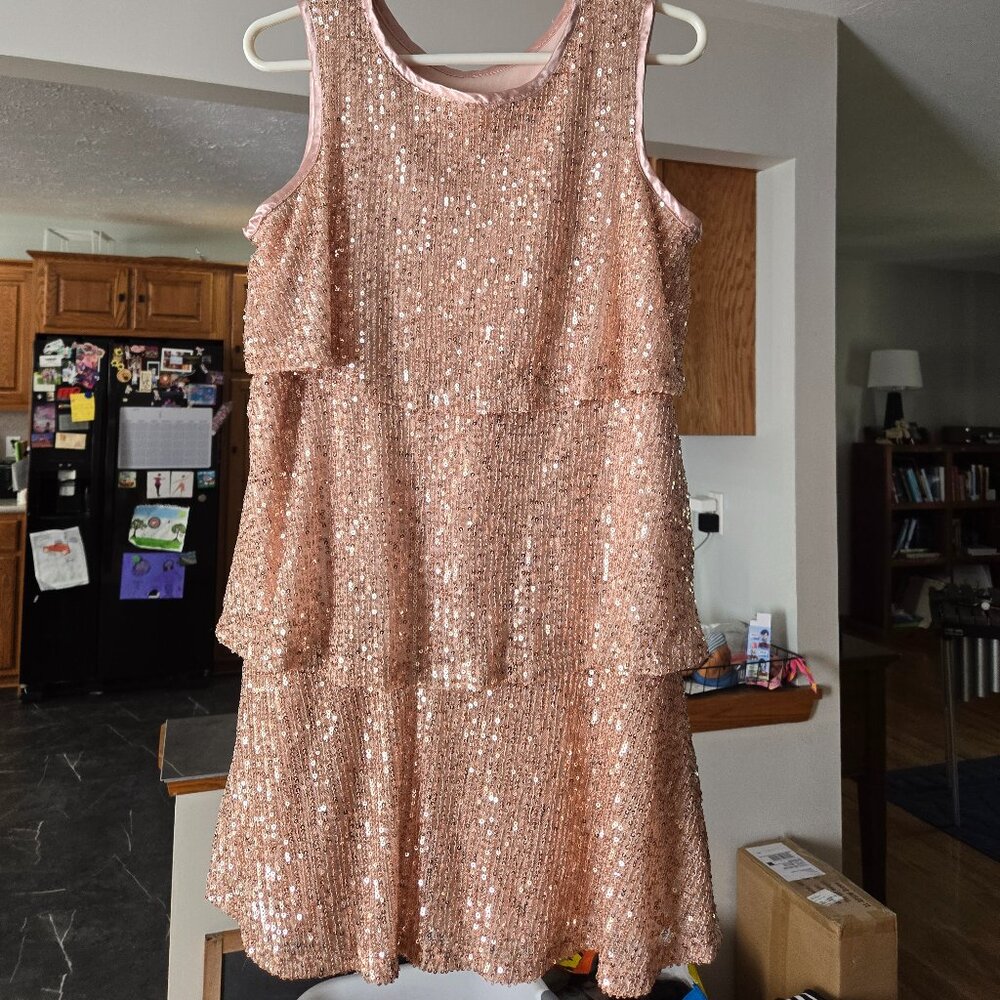 Girls dressy dress NWOT